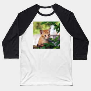 Cute kitten cat perched in a tree with an inquisitive look Baseball T-Shirt